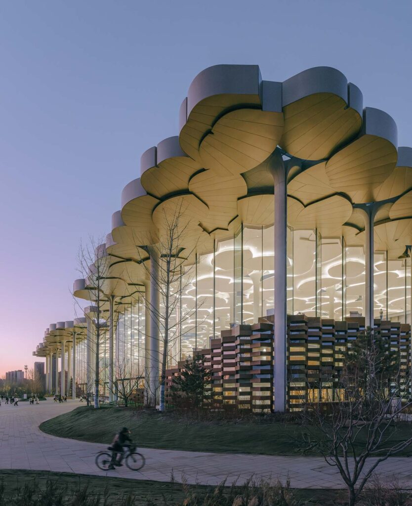 BEIJING CITY LIBRARY 5 Zhu Yumeng 04 big publication low res