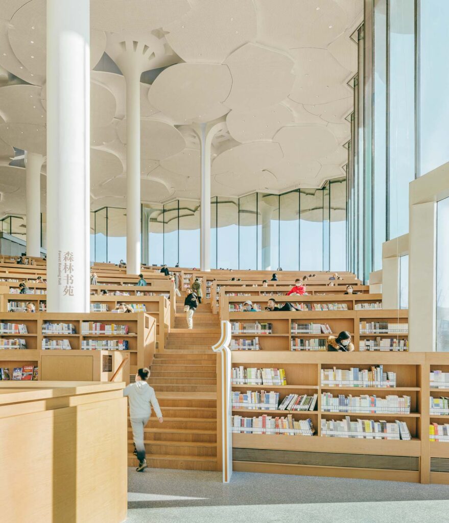 BEIJING CITY LIBRARY 2 Zhu Yumeng 07 big publication low res