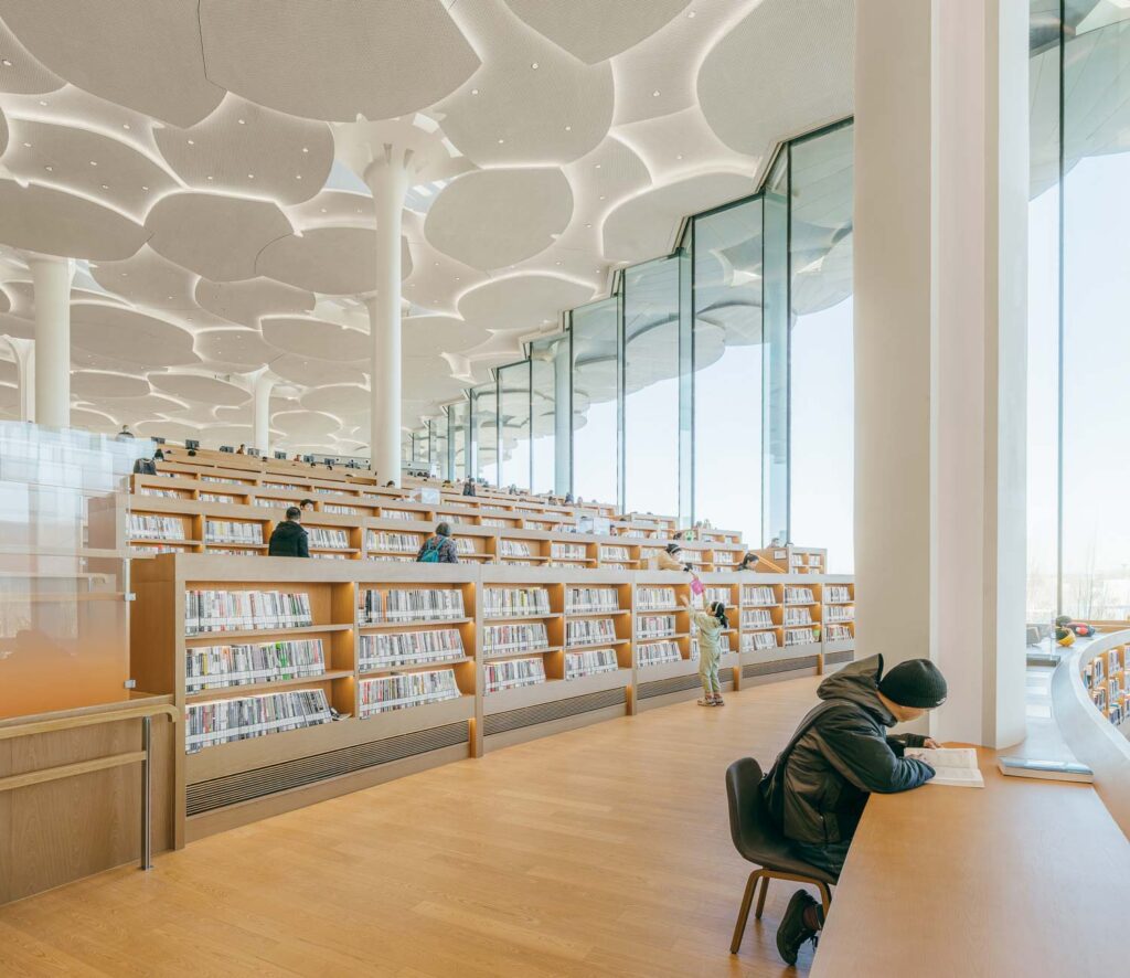 BEIJING CITY LIBRARY 3 Zhu Yumeng 08 big publication low res