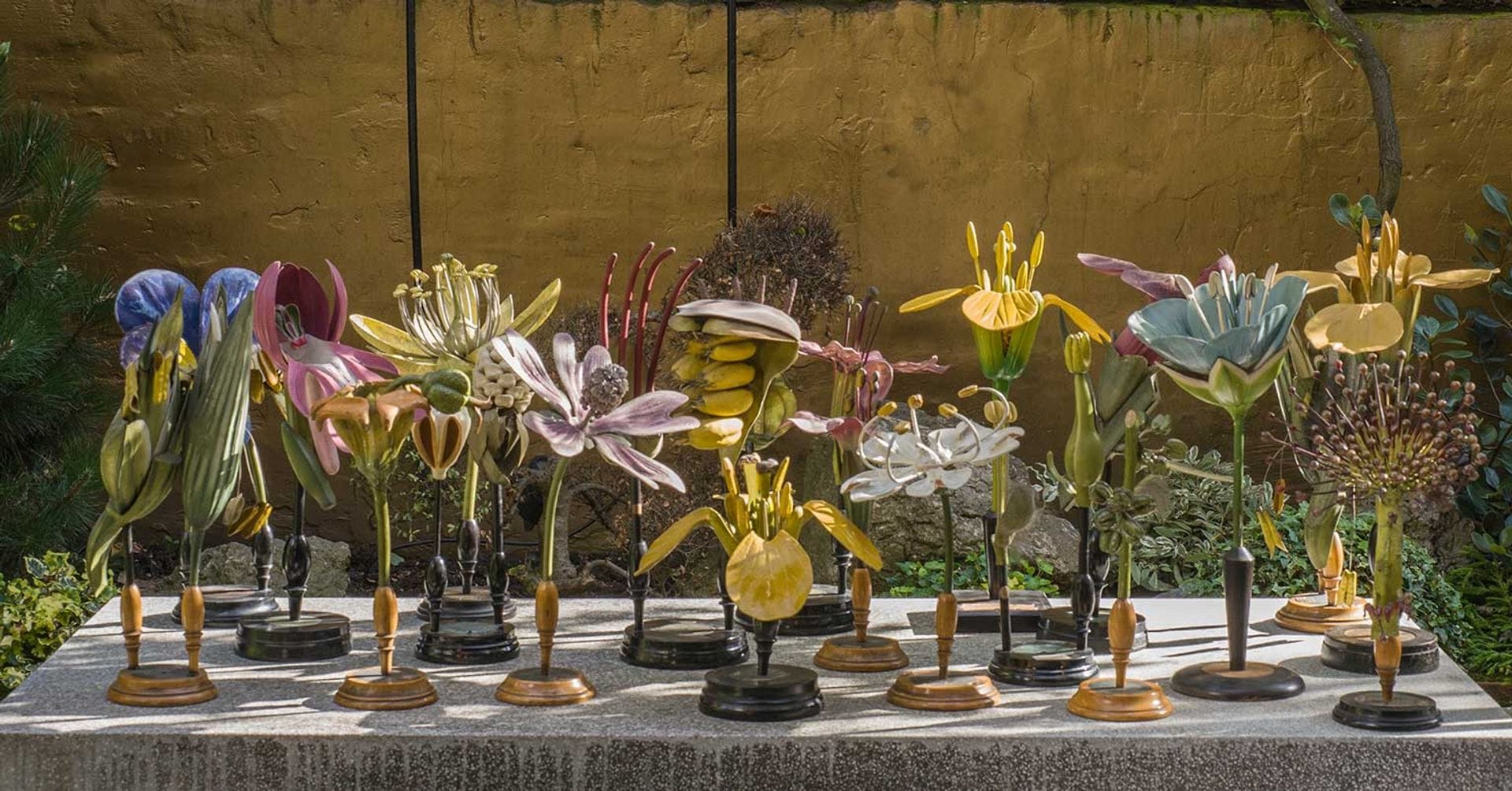 Exquisitely crafted objects once housed in science museums are the focus of an exhibition in Venice