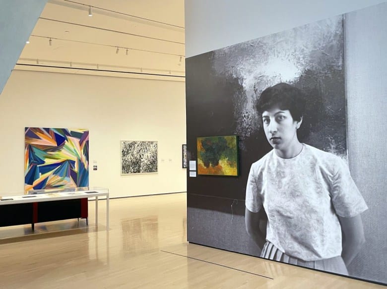 Samia Halaby’s Abstractions Map Displacement and Home
