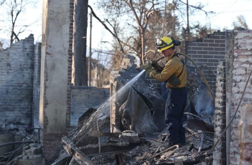 How to Help Those Impacted by the L.A. Wildfires