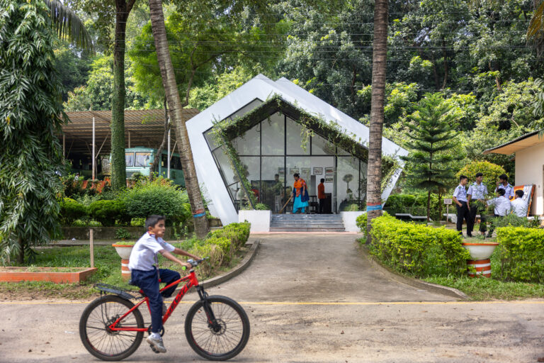 Parental Shed / Vector Plinth