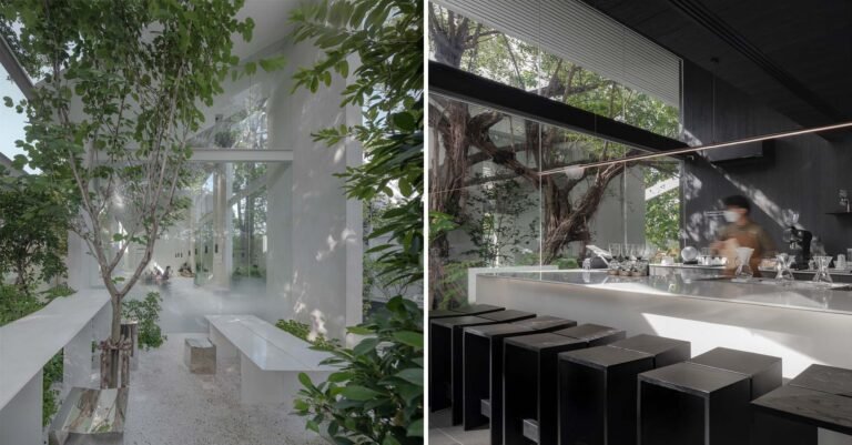 قماش باريستا: استكشاف فن الهندسة المعمارية للمقاهي في العصر الذهبي للمقاهي
