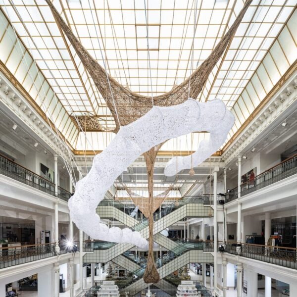 Home En 48 an atrium with a white snake net swirling upward and a square brown net hanging over