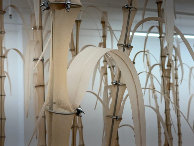 Five NYC Art Shows to See This Week