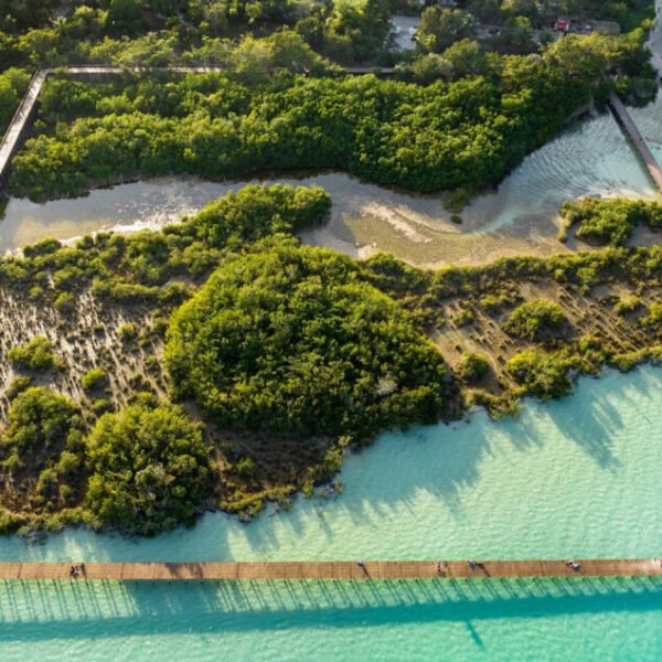 Meet the 2025 Mies Crown Hall Americas Prize Finalists