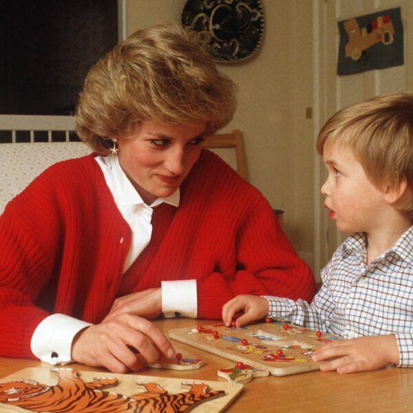 Princess Diana at Home: Inside the Icon’s Domestic Life at Three Royal Residences