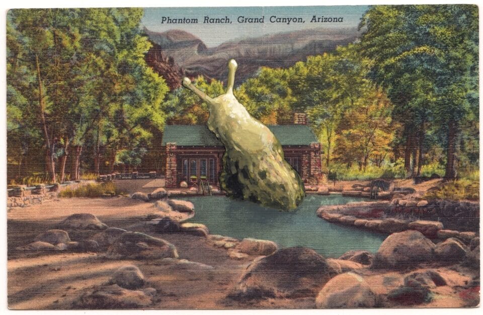a vintage postcard of a lodge in an Arizona desert landscape, with a giant slug crawling onto the roof of the building