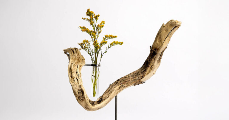 hector serrano repurposes roots into sculptural flower vases