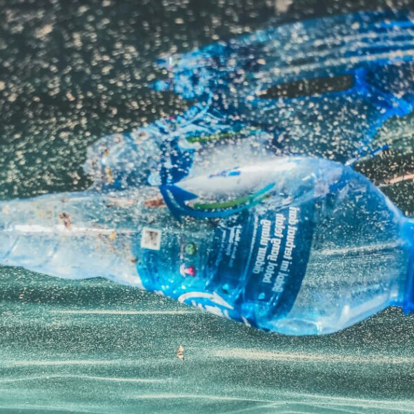 researchers develop recyclable plastic that fully dissolves in the sea