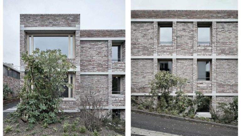 في سويسرا ، يجلب Boltshauser ArchiteKten السكن الراقي إلى الأرض
