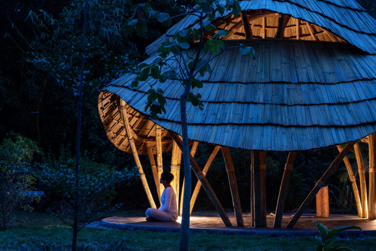 Architectures of Care: Healing Spaces Across Cultures