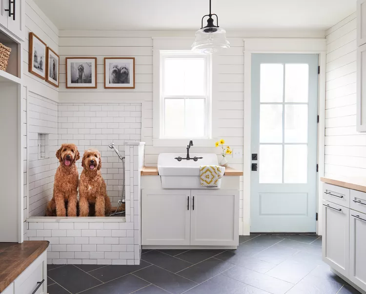 pet washing stations