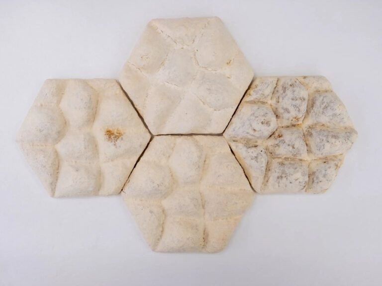 يمكن أن يبرد بلاط الفطريات "جلد الفيل" المباني
