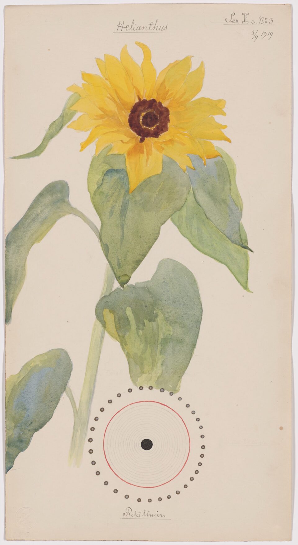 A Unique Portfolio of Hilma af Klint’s Botanical Drawings Communes with Nature’s Spiritual Side
