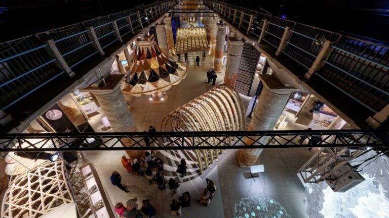 Venice 2025: A Tale of Two Biennales