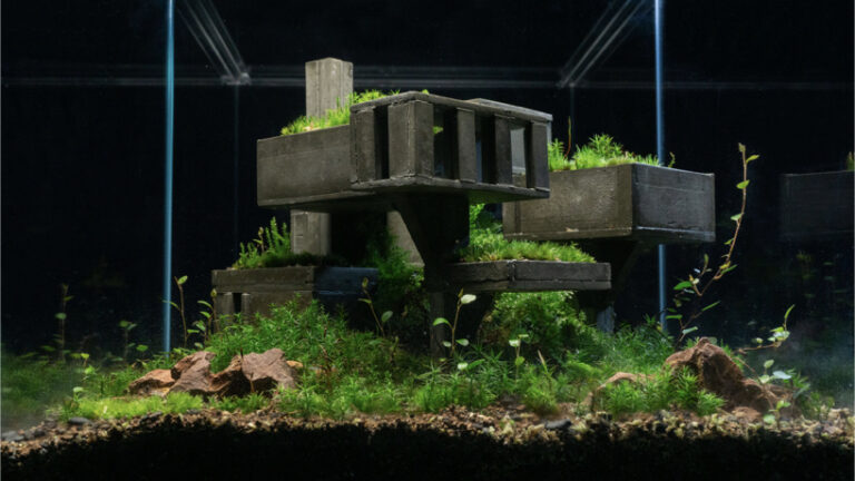 alessio fava's brutalist terrariums reveal what happens when nature reclaims space