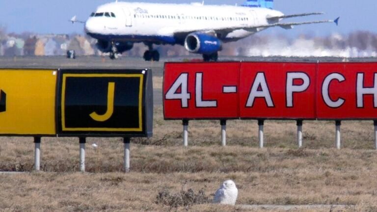 لا يزال من فيلم وثائقي قصير يظهر طائرة في خلفية مطار مع بومة ثلجية على الأرض في المقدمة