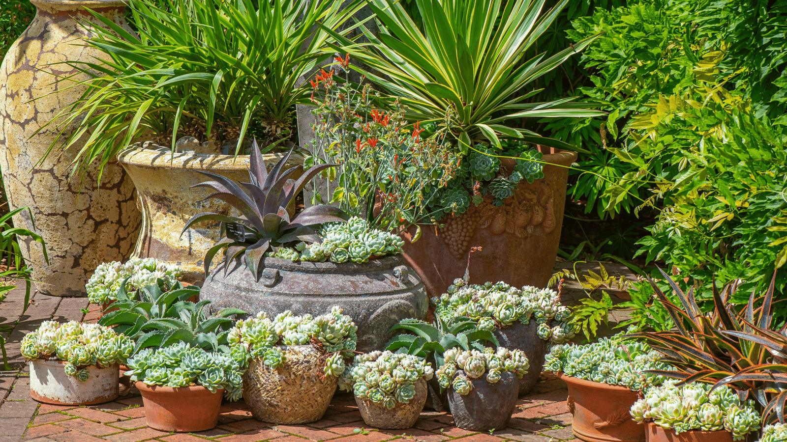 An arrangement of Terracotta pots in an English garden, planted with succulent plants - stock photo