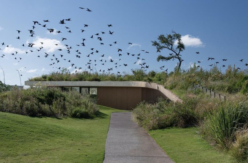 Home En 54 A Clubhouse That Grows from the Landscape