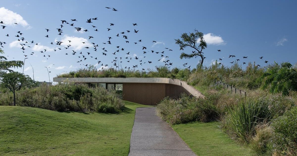 A Clubhouse That Grows from the Landscape