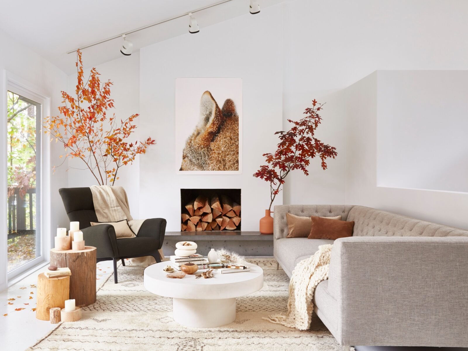 minimalist fall living room