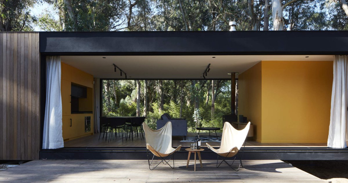 Inside a Small Forest Home that blends Mid-Century Style with Nature