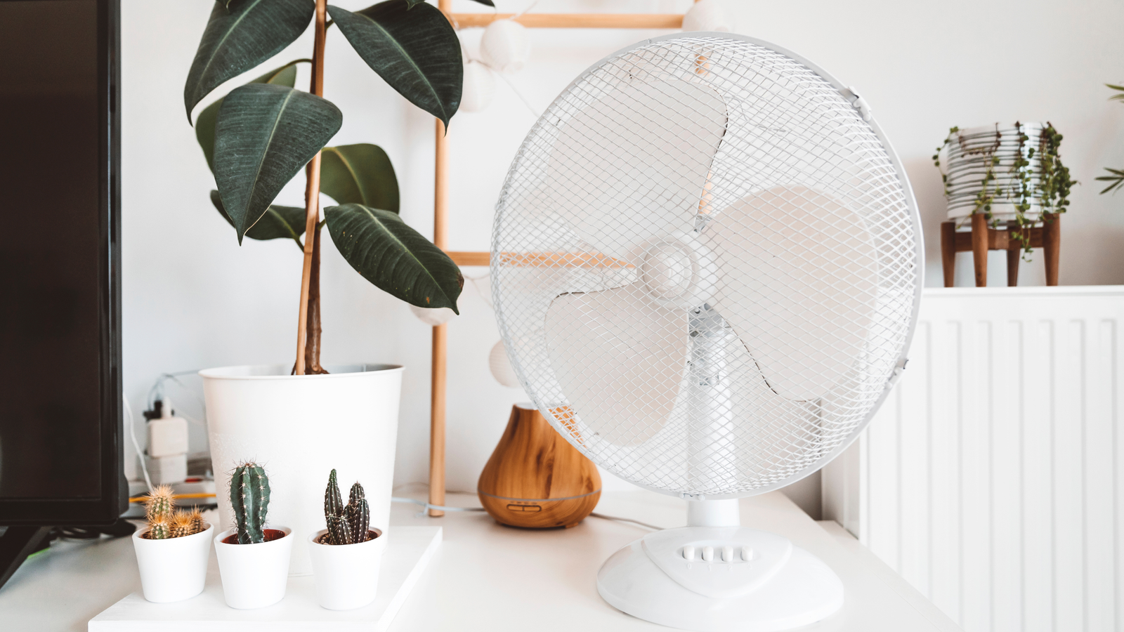 لماذا أستخدم المروحة طوال فصل الشتاء في منزلي الرطب