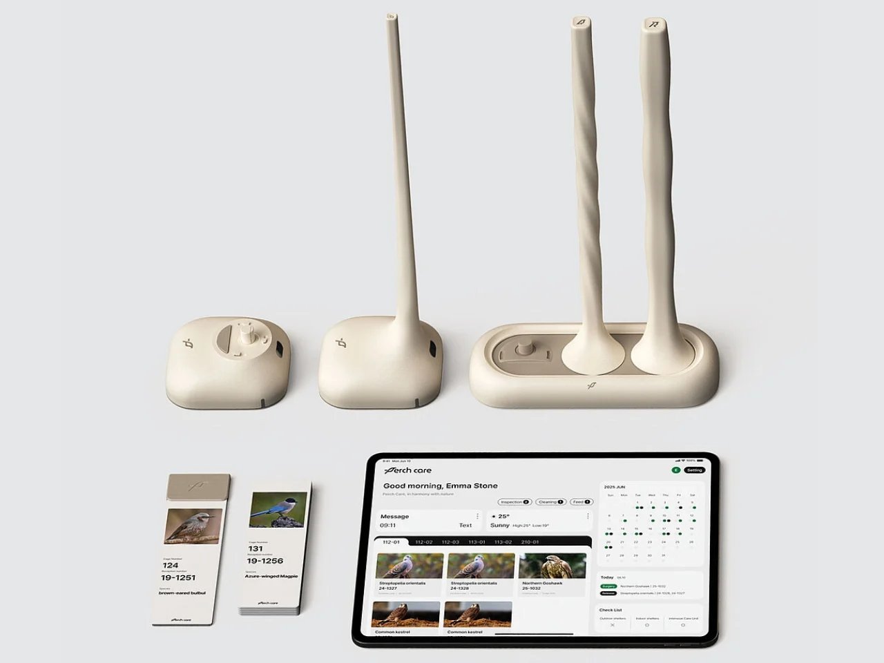 هذا المجثم الذكي يزن الطيور دون لمسها على الإطلاق