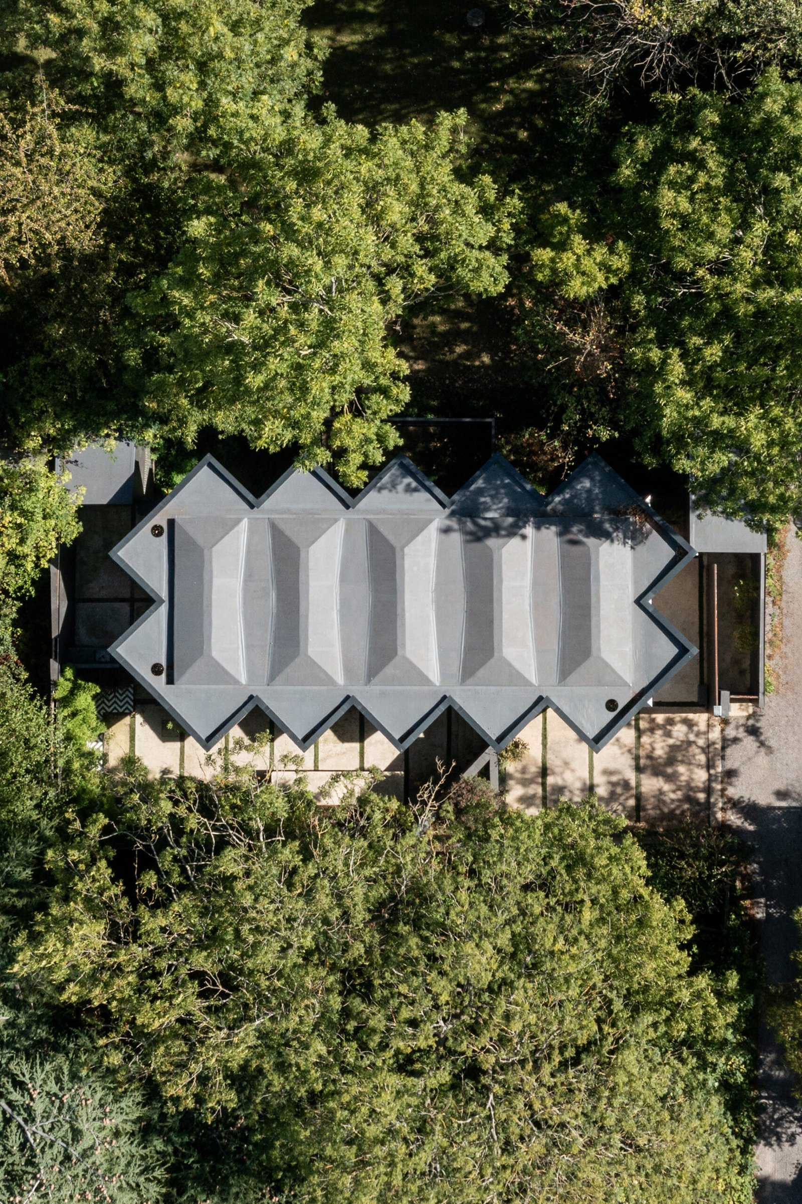 Arbour House is a north London home that lies low but punches high 1 arbour house, a low, one storey home in a back year among trees, but with a distinctive angular roof
