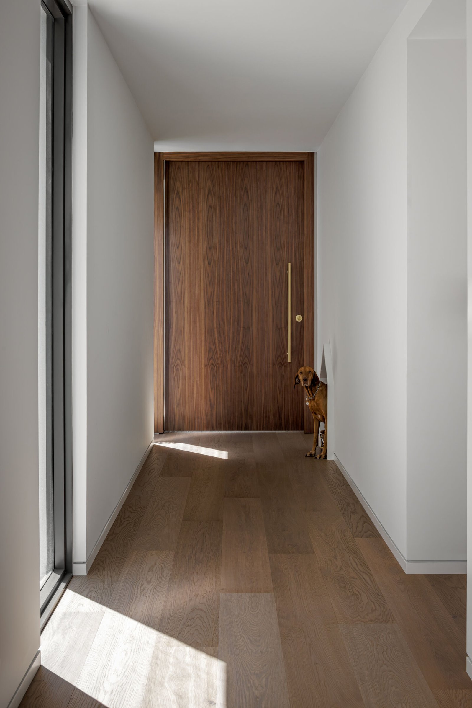 This Miami Home Lifts Daily Life Above the Garden 1 A tall wood door creates a minimal, welcoming approach.