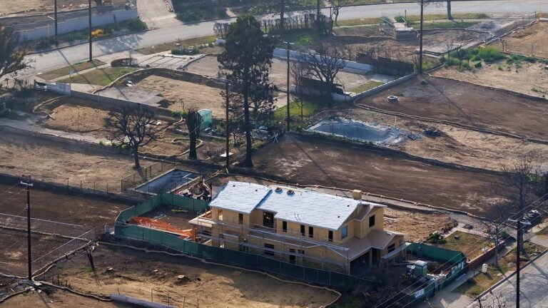 Continuing Education: L.A. Fires, One Year Later