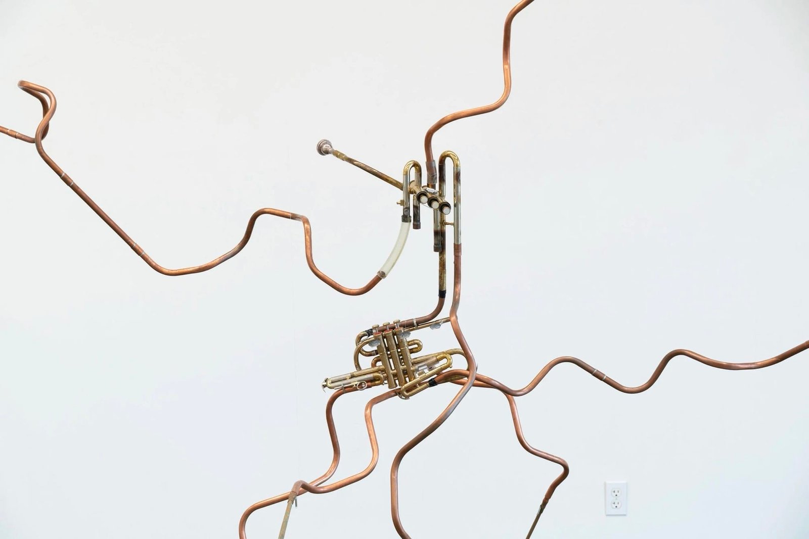 In ‘Funeral for a Tree,’ Steve Parker Etches Bird Song into Playable Oak Records 1 a sound sculpture by Steve Parker with sprawling metal tubing