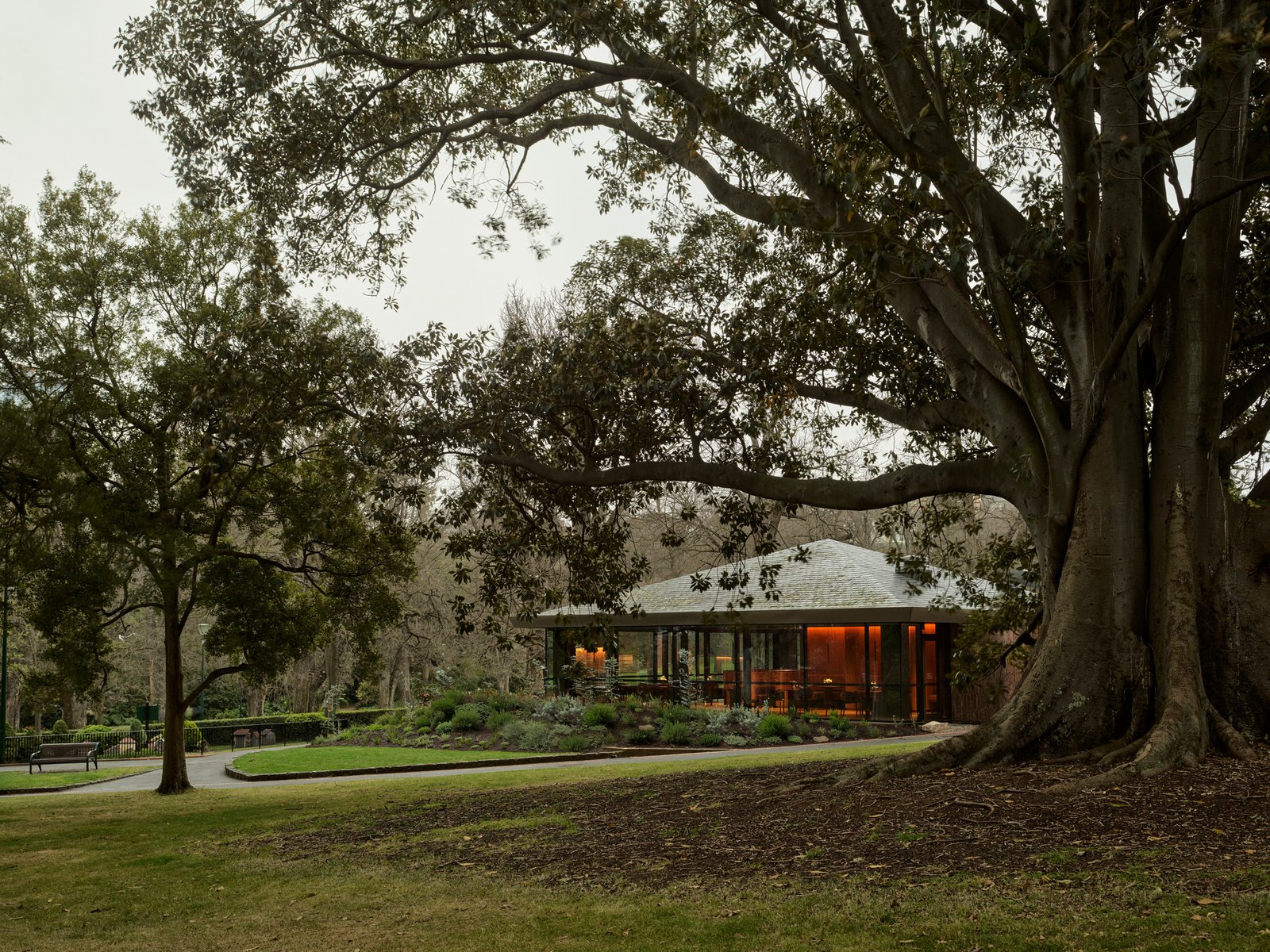 اكتشف جوهرة الطهي المخفية في ملبورن 1 مراجعة مطعم ياجا ملبورن