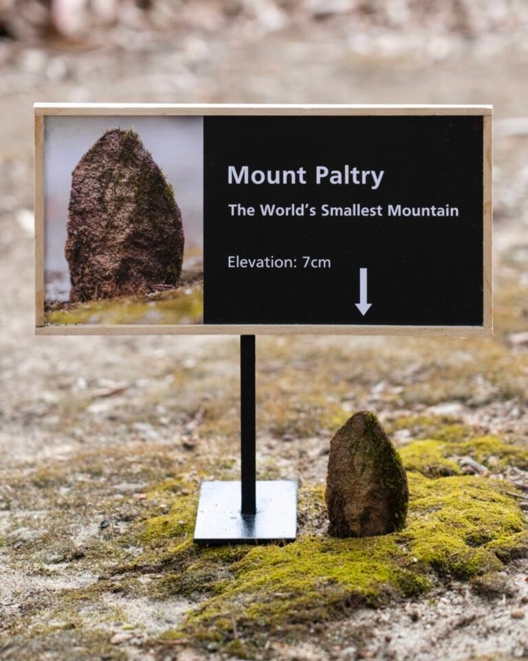 علامات وبوابات Itty-Bitty بقلم مايكل بيدرسون أعد تصور التفاصيل الحضرية اليومية 6 تركيب مصغر لمايكل بيدرسون لقراءة اللافتة