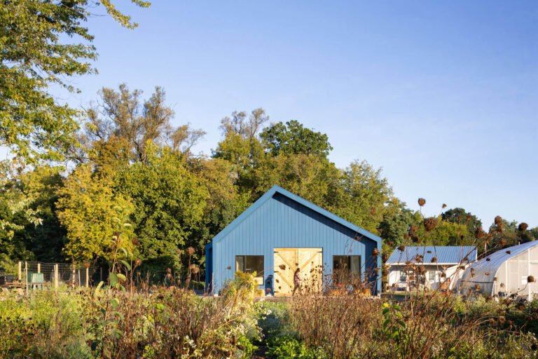 يكمل ماجو والطلاب سقيفة سوق برادي فارم
