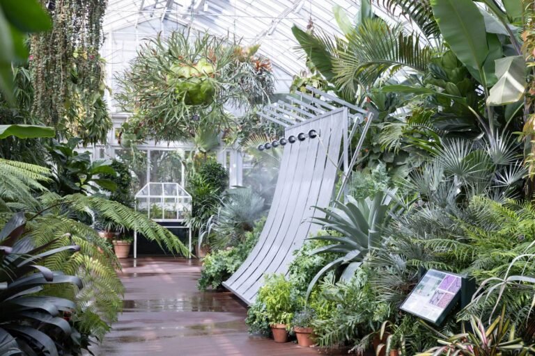 Hermine Demaël and Stephen Zimmerer design climate device at NYBG