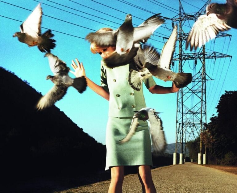 a photograph by Alex Prager of a woman in a vintage two-piece skirt suit set being attacked by pigeons. power lines run in the background