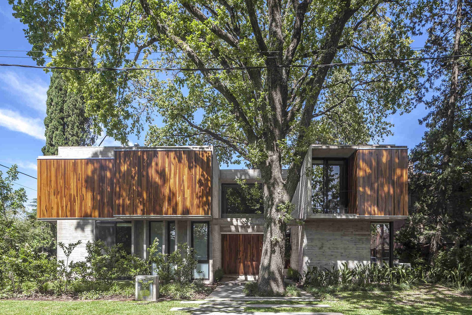 Casa Aranzazu in Buenos Aires by Besonias Almeida arquitectos is a modern concrete and wood house designed around mature trees, with large windows and a leafy corner-lot setting.